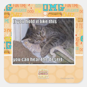 If you hold it like this square sticker