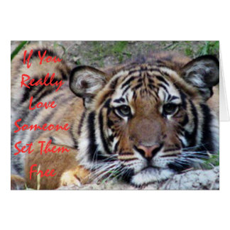 If You Love Someone... Beautiful Tiger Card