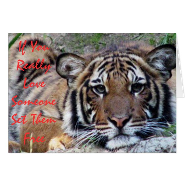 If You Love Someone... Beautiful Tiger Card (Front Horizontal)