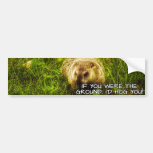 If you were the ground, I'd hog you bumper sticker