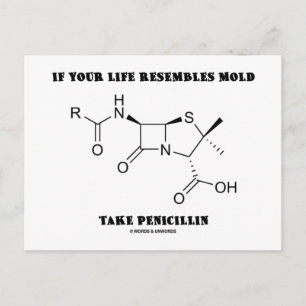If Your Life Resembles Mould Take Penicillin Postcard