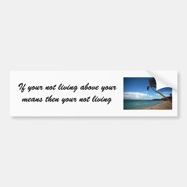 If your not living above your means t... bumper sticker (Front)