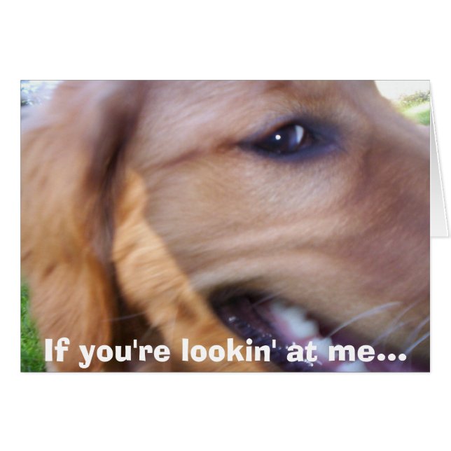 If you're lookin' at me... (Front Horizontal)