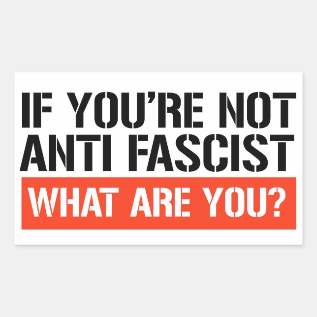 If you're not Anti Fascist what are you? Sticker (Front)