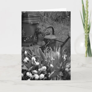 IFELICES PASCUAS HAPPY EASTER IN SPANISH HOLIDAY CARD