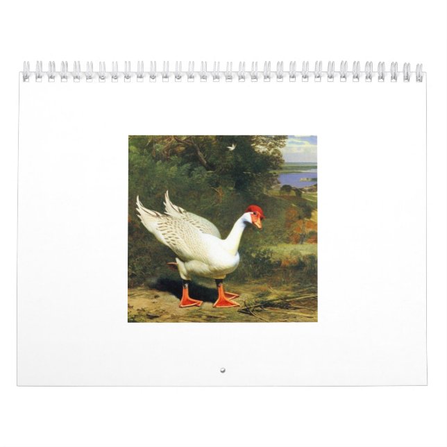 IGF 2025 Calendar (Cover)