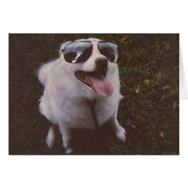 iggie par peace (Devant horizontal)