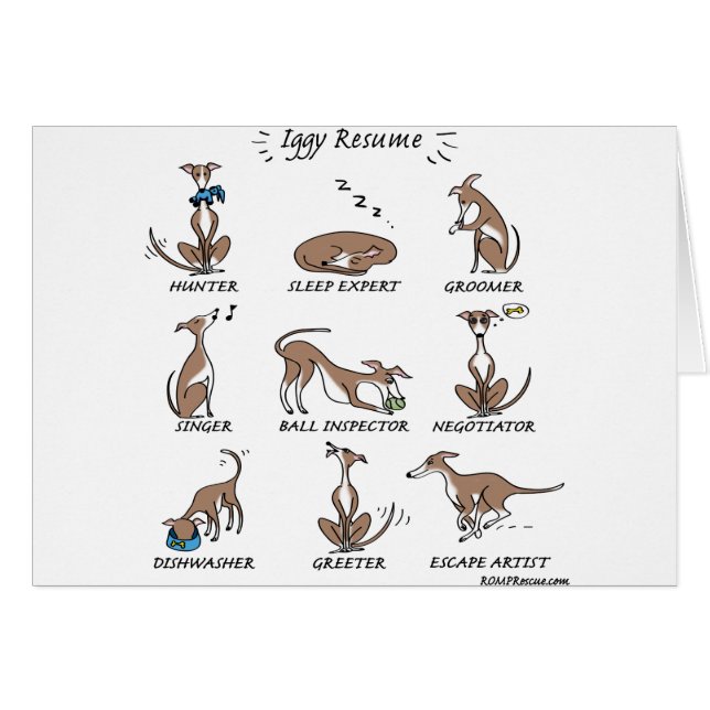 Iggy Rescue (Front Horizontal)