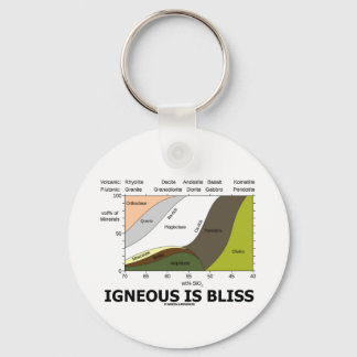 Igneous Is Bliss (Geology Ignorance Is Bliss) Keychain