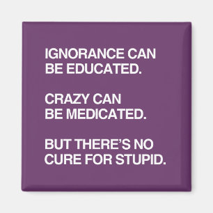 IGNORANCE CAN BE EDUCATED MAGNET