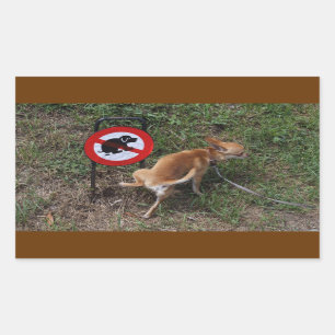 Ignorance Is Bliss Bad Chihuahua Sticker