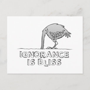 Ignorance is Bliss Postcard