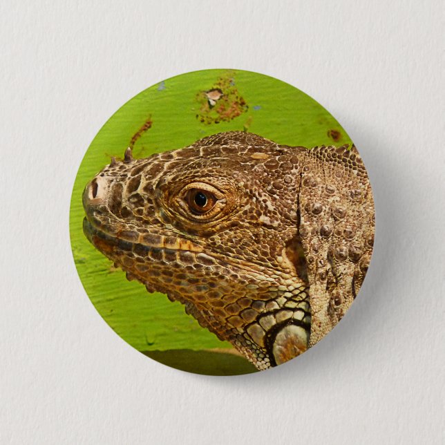 IGUANA 2 INCH ROUND BUTTON (Front)