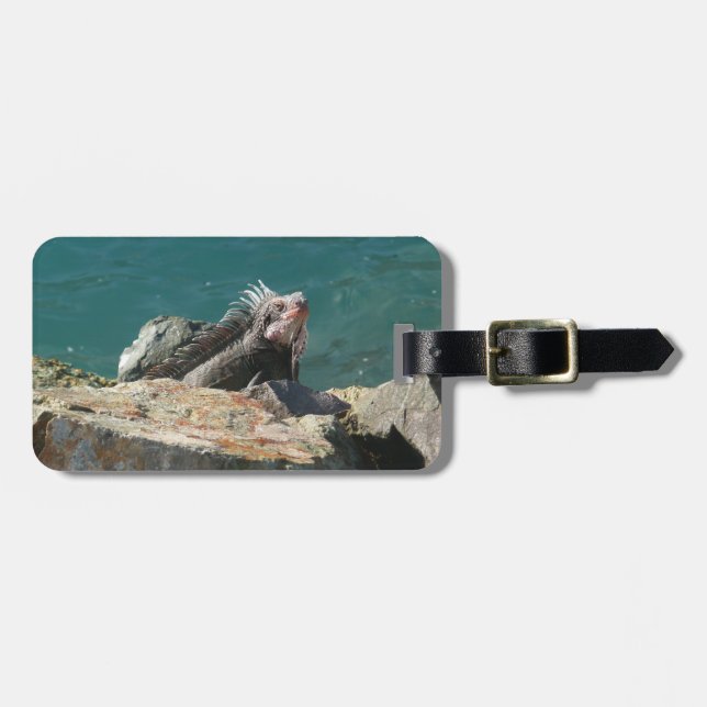 Iguana at St. Thomas Luggage Tag (Front Horizontal)