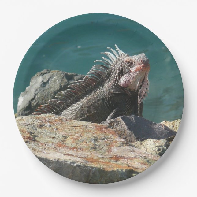 Iguana at St. Thomas Paper Plate (Front)