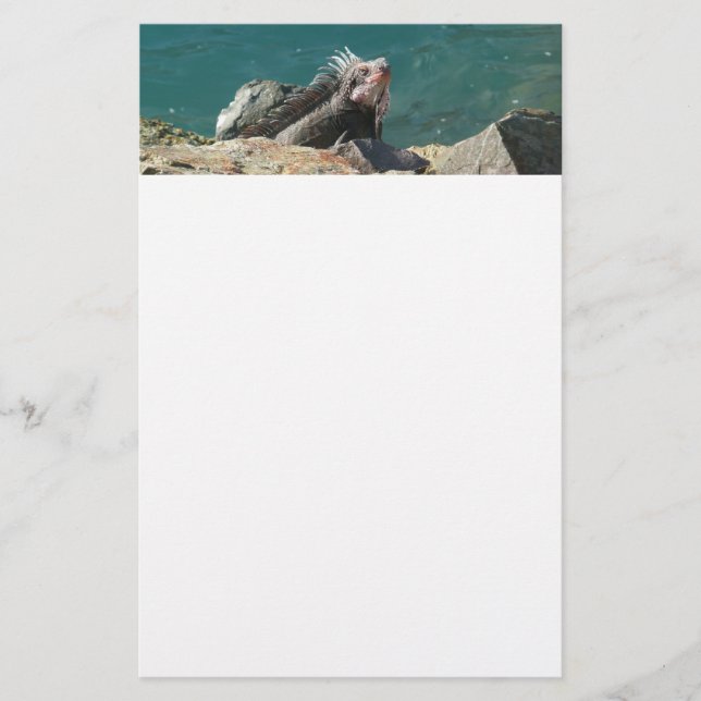 Iguana at St. Thomas Stationery (Front)