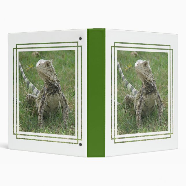Iguana Binder (Background)