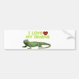 Iguana Bumper Sticker" I love my Iguana" Sticker