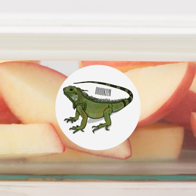 Iguana cartoon illustration  (Affixed)