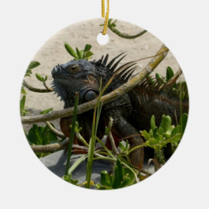 Iguana Ceramic Ornament