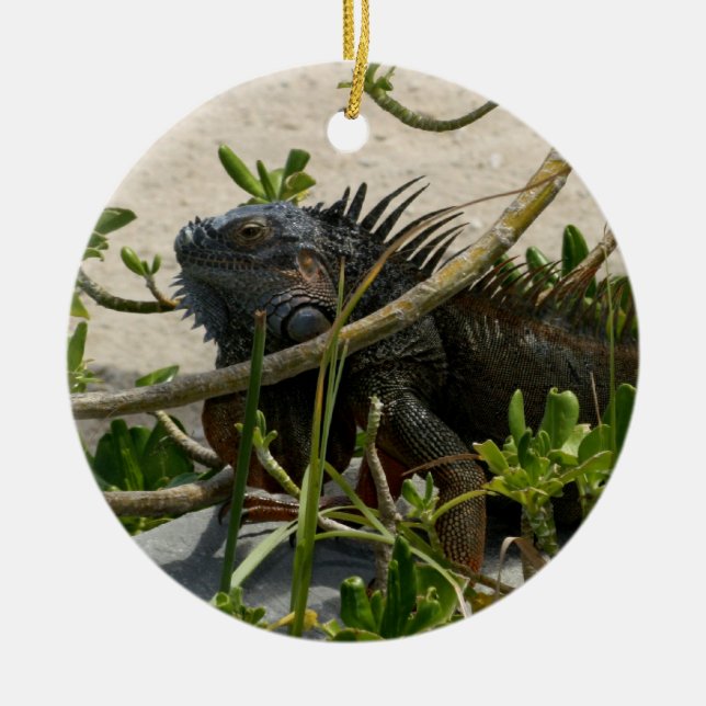 Iguana Ceramic Ornament (Front)