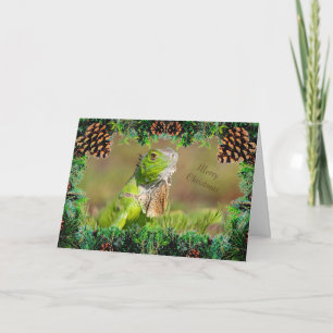 Iguana Christmas Card