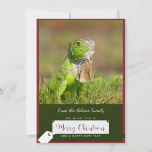 Iguana Christmas Card