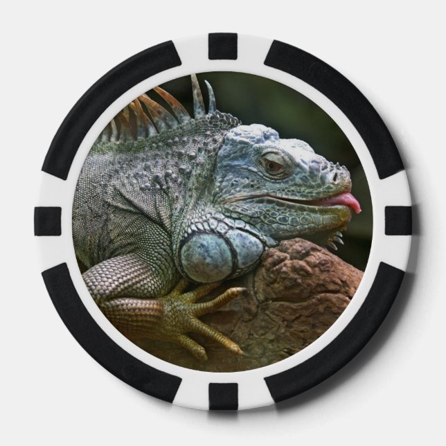 Iguana custom poker chips (Front)