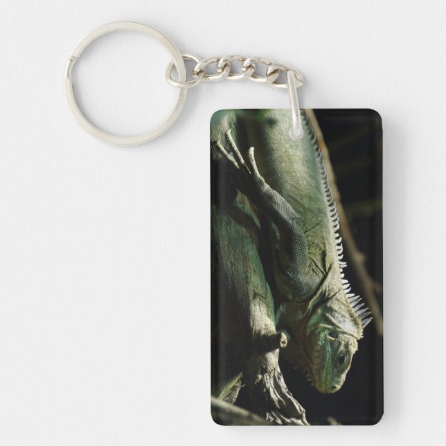 Iguana delicatissima keychain (Front)