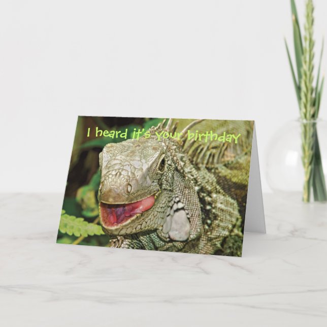 Iguana funny birthday card (Front)