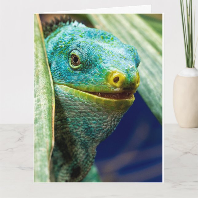 IGUANA FUNNY PUN BIRTHDAY GREETING CARD (Front)