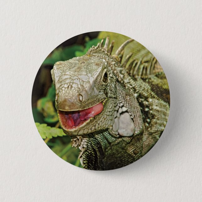 Iguana green 2 inch round button (Front)