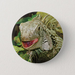 Iguana green 2 inch round button