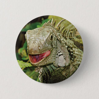 Iguana green 2 inch round button
