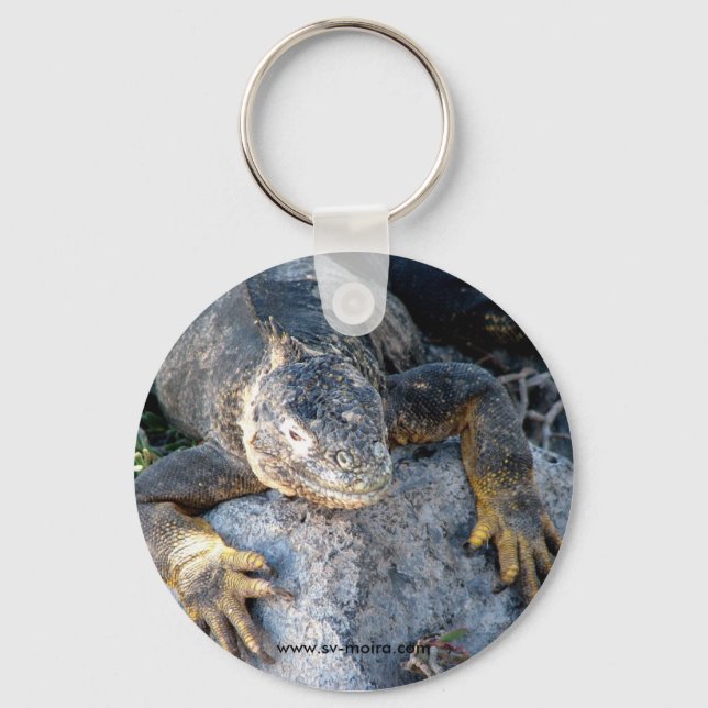 Iguana, Islas las Plazas, Galapagos Keychain (Front)