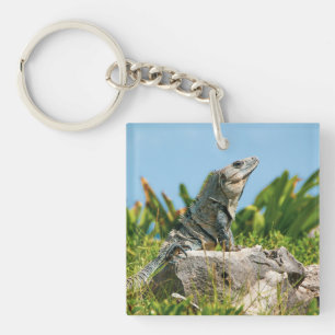Iguana Keychain