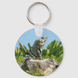 Iguana Keychain