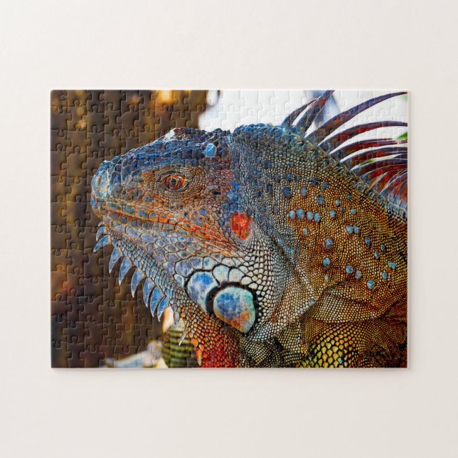 Iguana Lizard Florida . Jigsaw Puzzle (Horizontal)