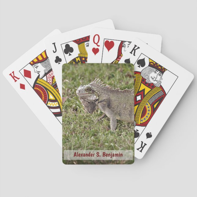 Iguana Lizzard Pet Animal Nature Personalize Playing Cards (Back)