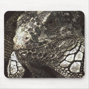 Iguana Mouse Pad