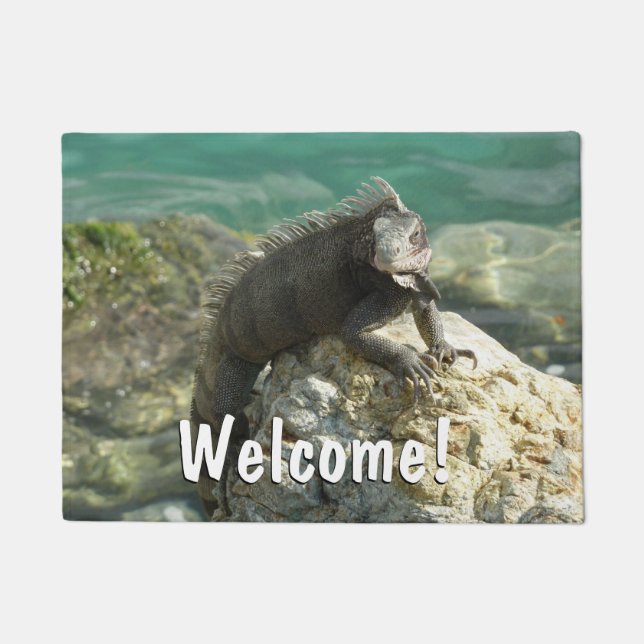 Iguana on the Rocks at St. Thomas Doormat (Front)