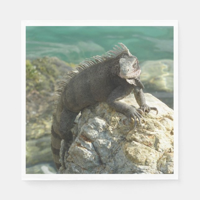 Iguana on the Rocks at St. Thomas Napkin (Front)