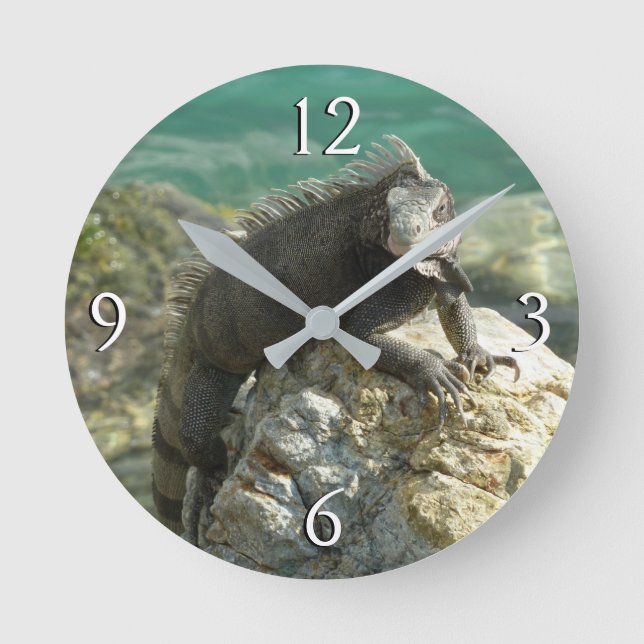 Iguana on the Rocks at St. Thomas Round Clock (Front)