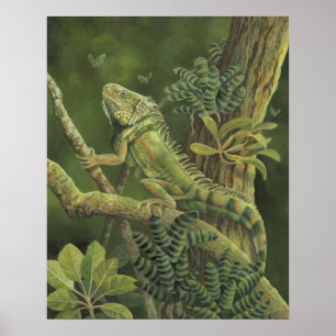 Iguana Poster