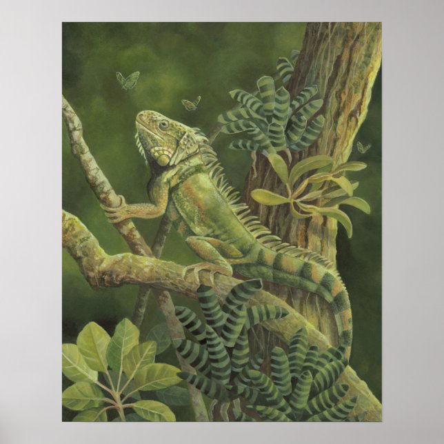 Iguana Poster (Front)