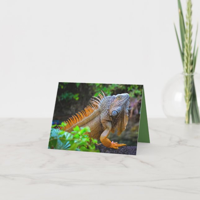 "Iguana"  Thank You Card (Front)