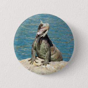 Iguana Tropical Wildlife Photography 2 Inch Round Button