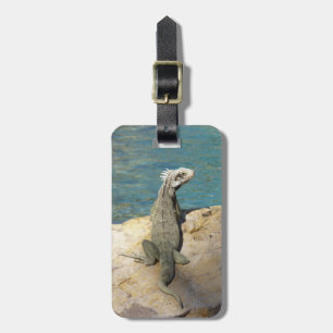 Iguana Tropical Wildlife Photography at St. Thomas Luggage Tag