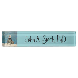 Iguana Tropical Wildlife Photography Nameplate