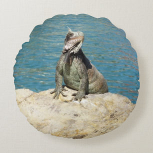 Iguana Tropical Wildlife Photography Round Pillow